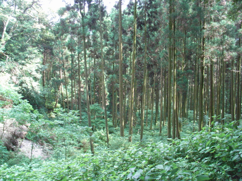 f:id:kazuyo1014:20120314122920j:image