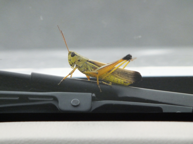 f:id:kazuyo1014:20120723082437j:image