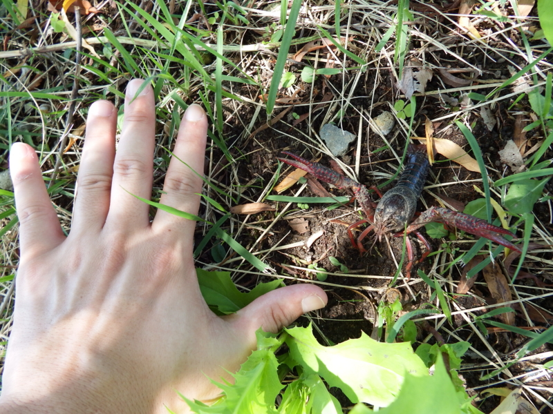 f:id:kazuyo1014:20130911162857j:image