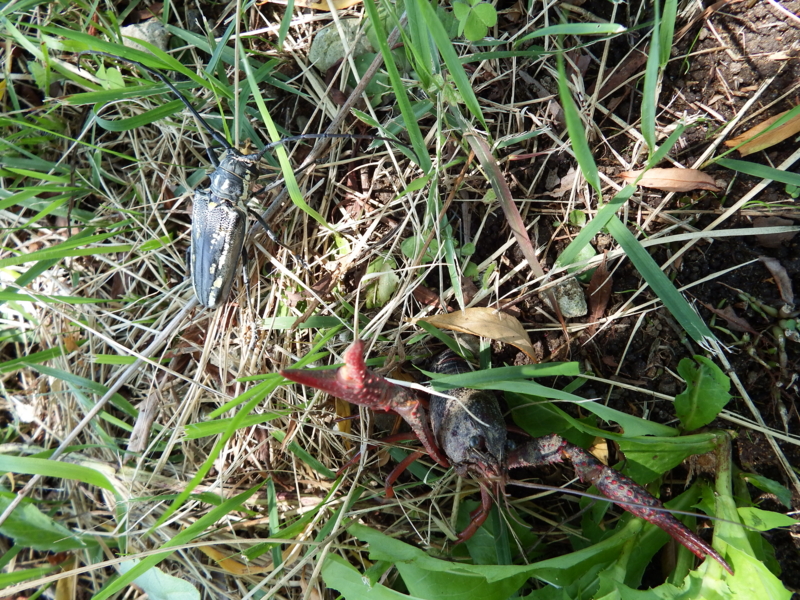 f:id:kazuyo1014:20130911162917j:image