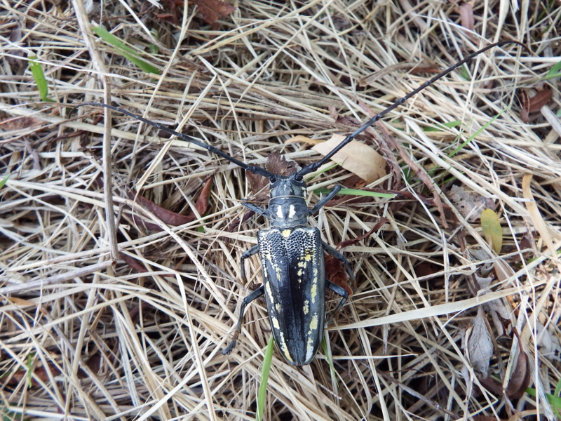 f:id:kazuyo1014:20130911162957j:image