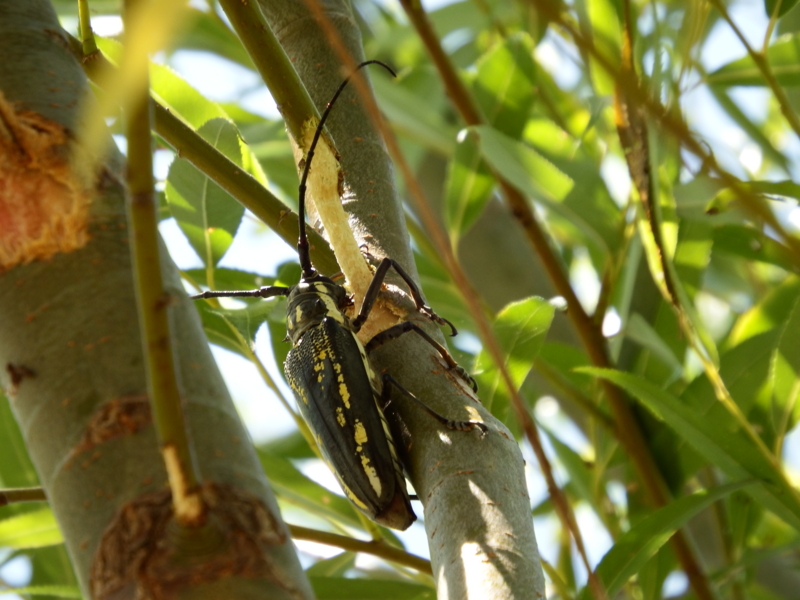 f:id:kazuyo1014:20130911163017j:image