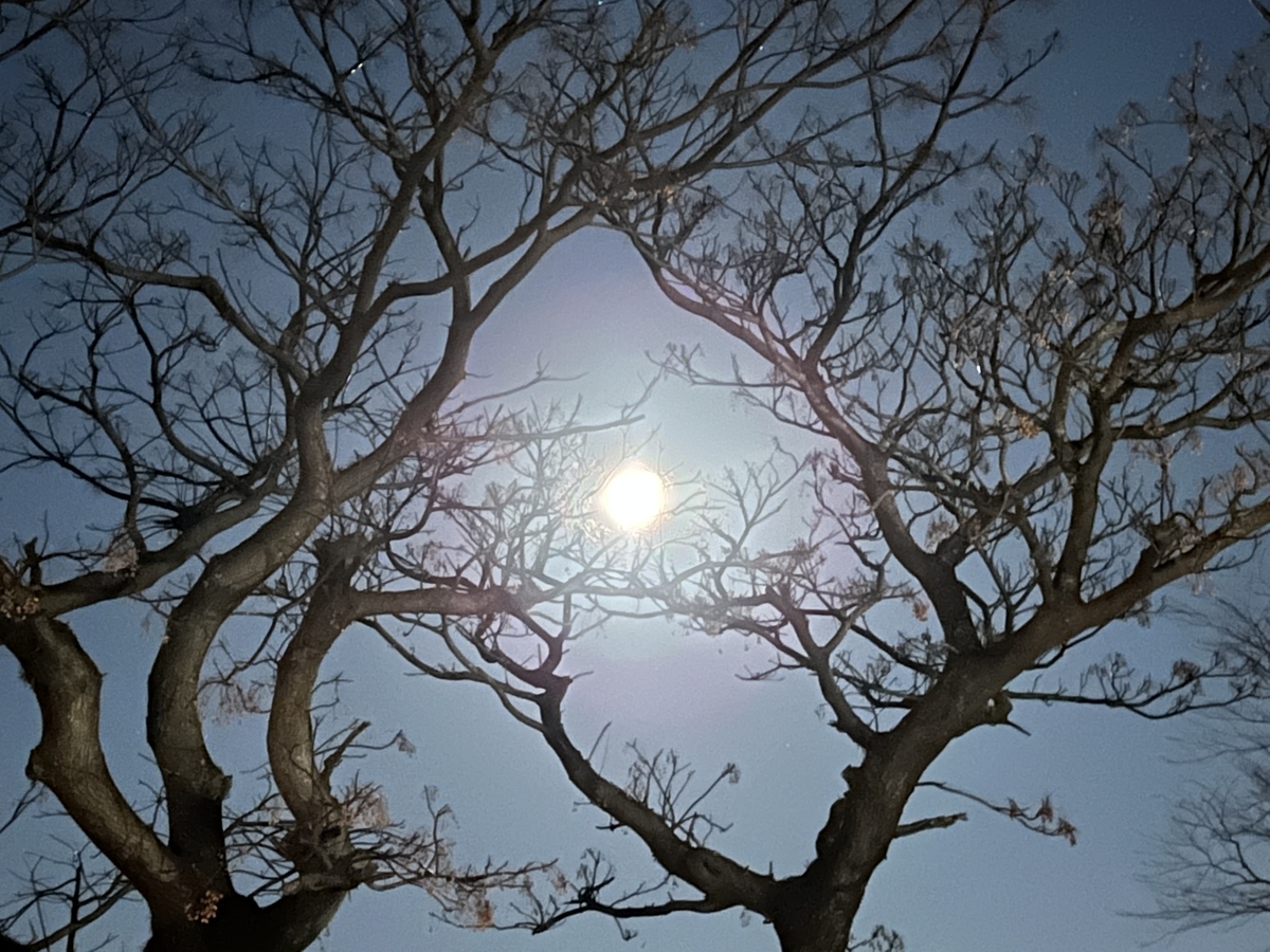 f:id:kazuyo1014:20220118211353j:plain