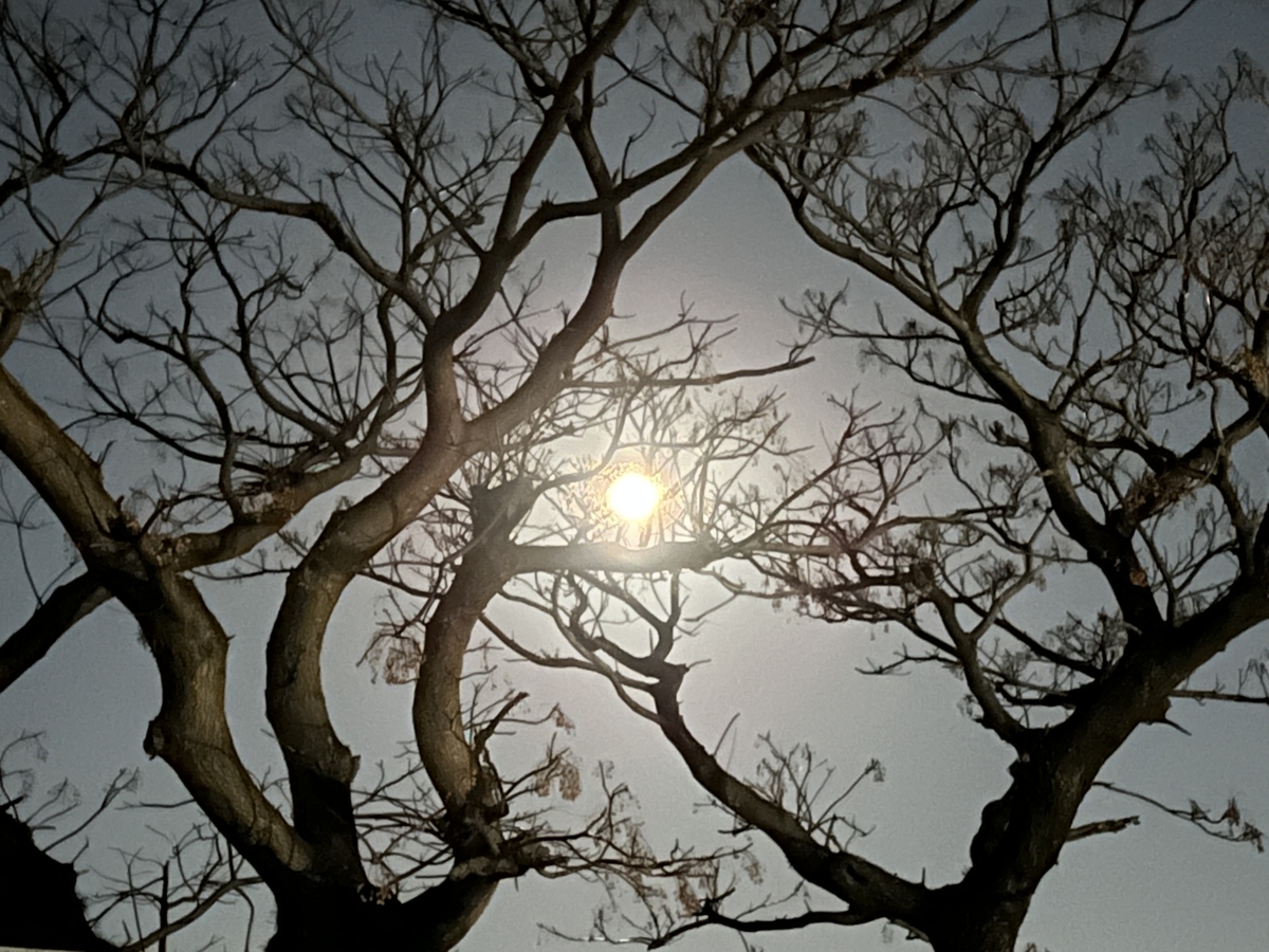f:id:kazuyo1014:20220118211605j:plain