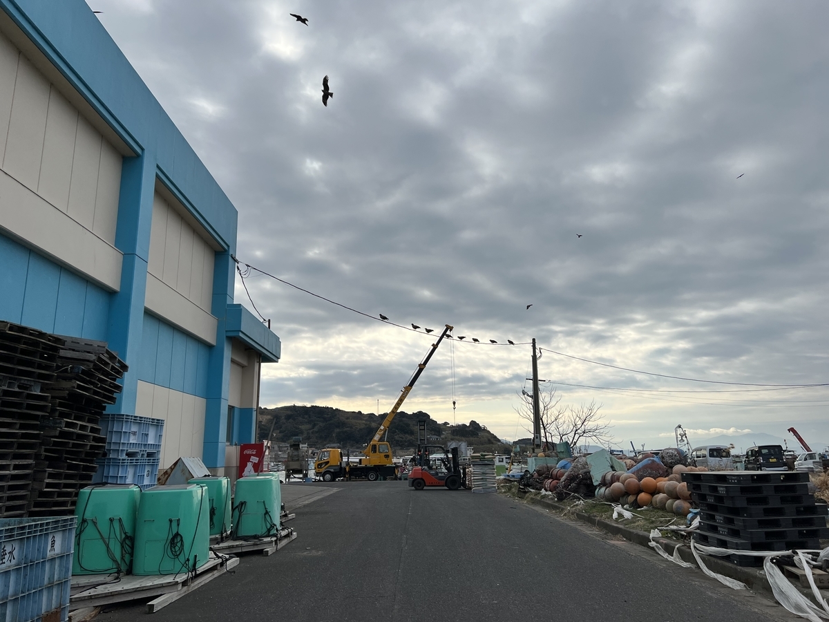 f:id:kazuyo1014:20220122121529j:plain