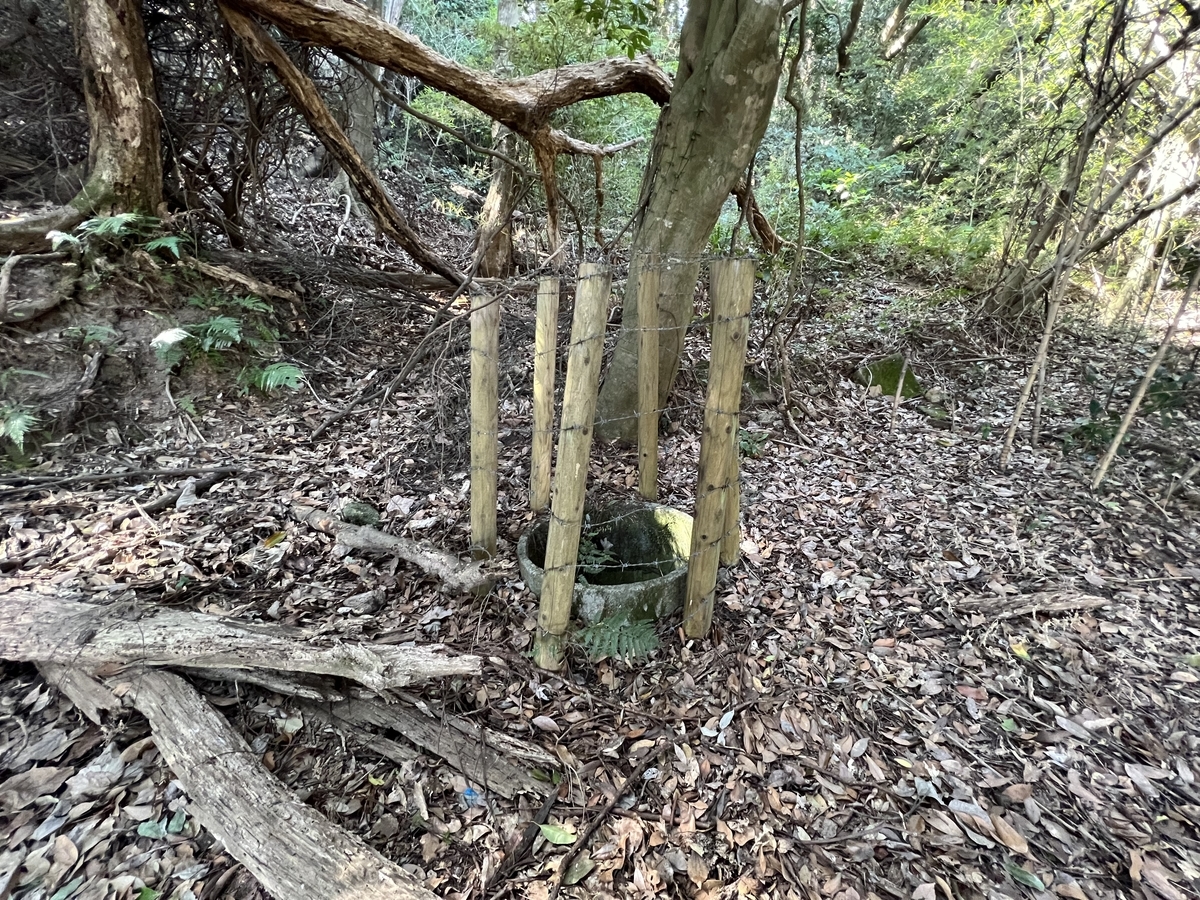 f:id:kazuyo1014:20220302214736j:plain