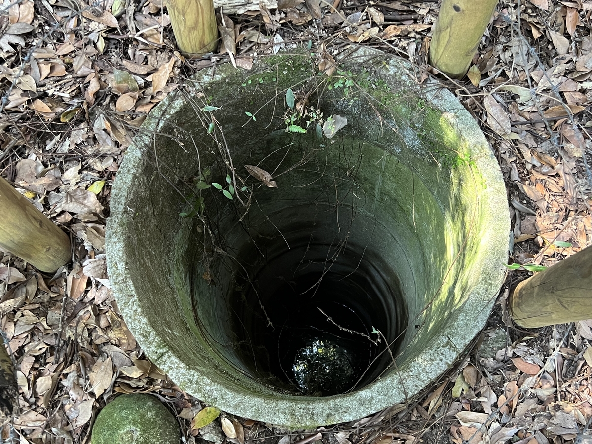 f:id:kazuyo1014:20220302214922j:plain