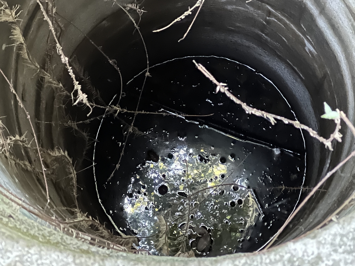 f:id:kazuyo1014:20220302215001j:plain