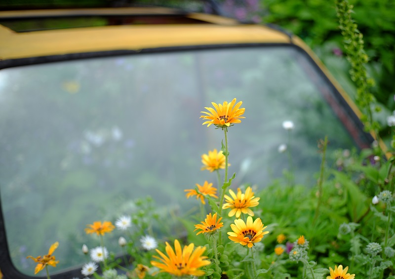 f:id:kazuzo88:20190702083617j:plain