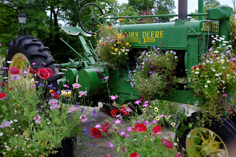 f:id:kazuzo88:20190702083701j:plain