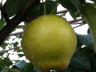 f:id:kazyee:20060826153407j:image f:id:kazyee:20060826153407j:image