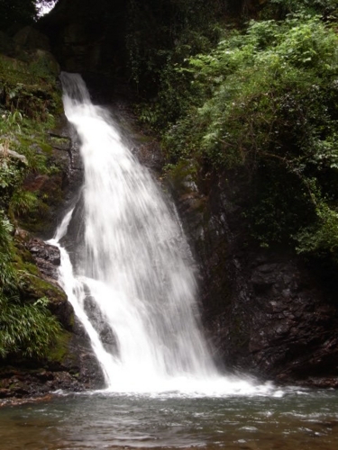 f:id:kazyee:20090621012353j:image f:id:kazyee:20090621012353j:image