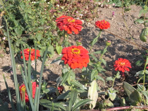 f:id:kazyee:20091108134840j:image