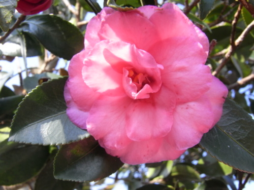 f:id:kazyee:20091108135550j:image