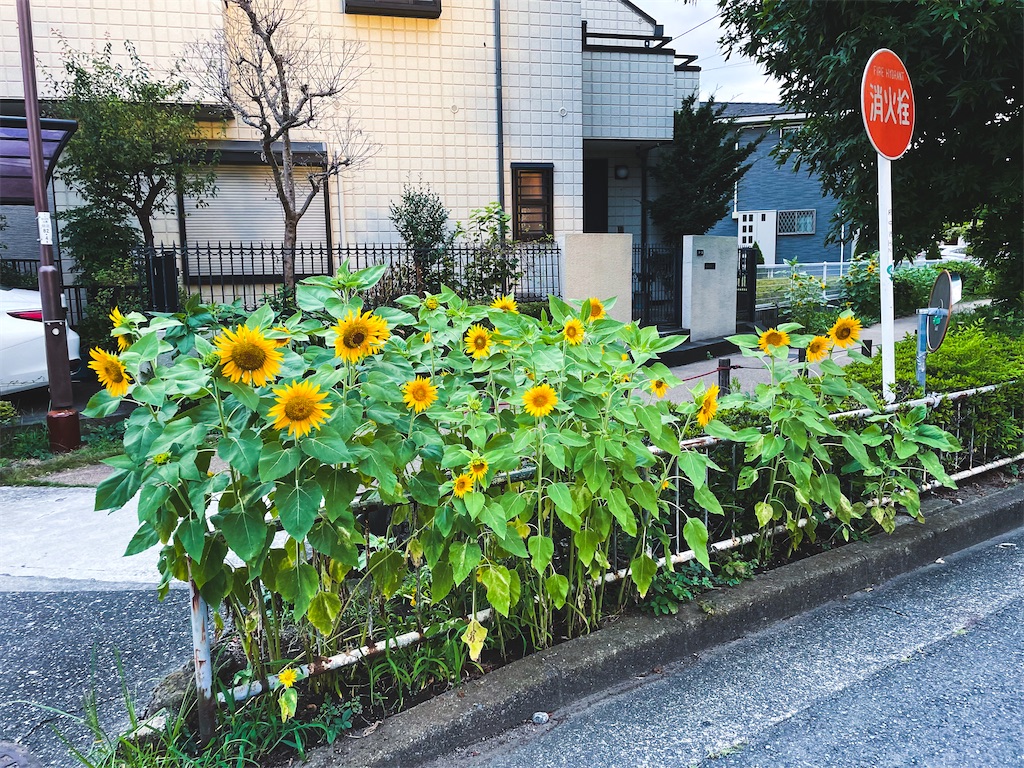 f:id:kazz-matsumura:20210808154958j:plain