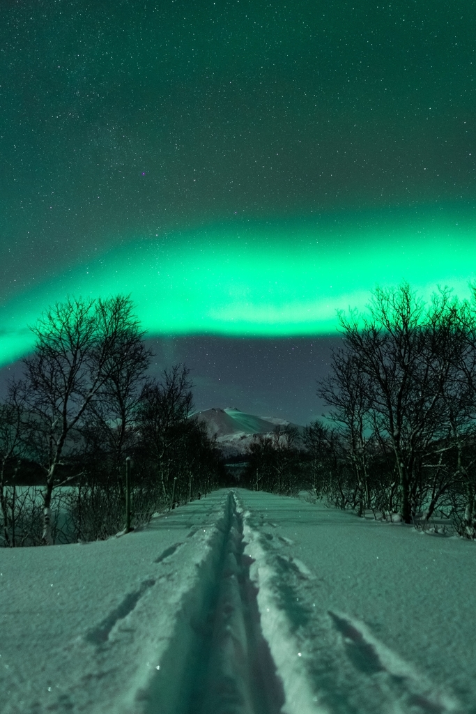 f:id:kazzapapa:20190219234708j:plain