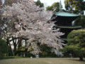 椿山荘庭園