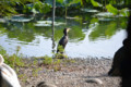 上野動物園