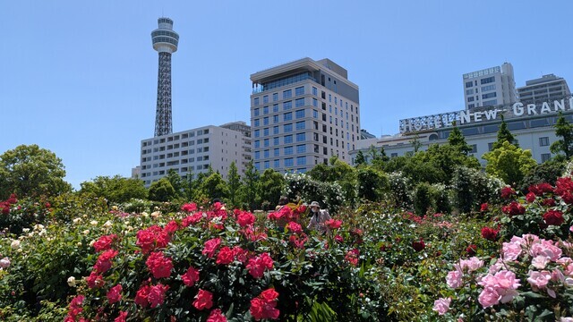 横浜・山下公園から