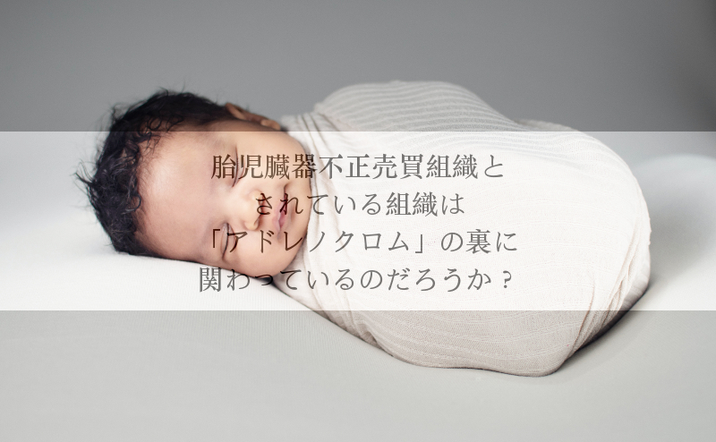 f:id:kazzhirock:20200907142834j:plain f:id:kazzhirock:20200907142834j:plain