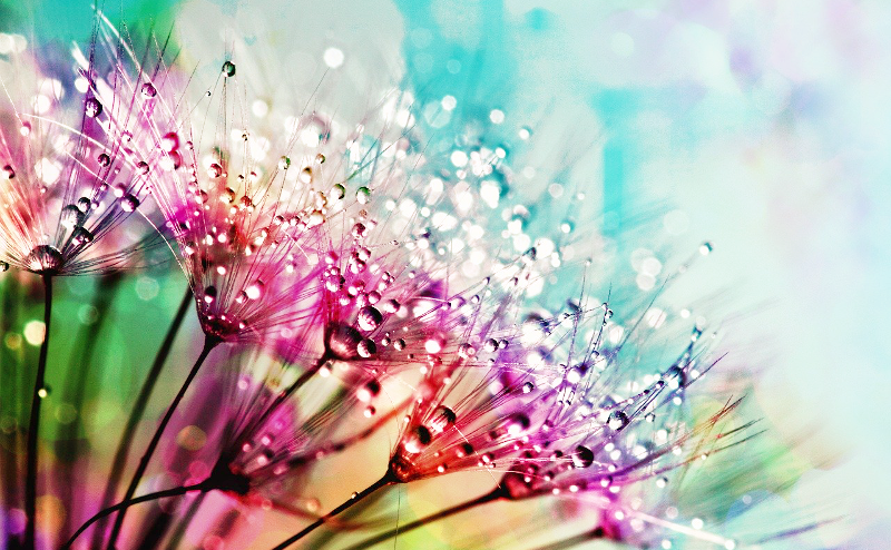 f:id:kazzhirock:20200917162342p:plain f:id:kazzhirock:20200917162342p:plain