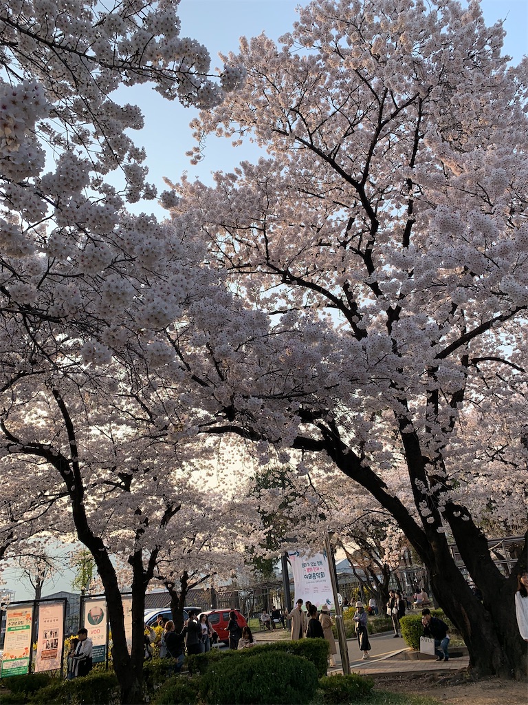 f:id:kbcmzk:20240421100701j:image