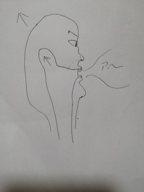 f:id:kbcnatrds:20200403183745j:plain