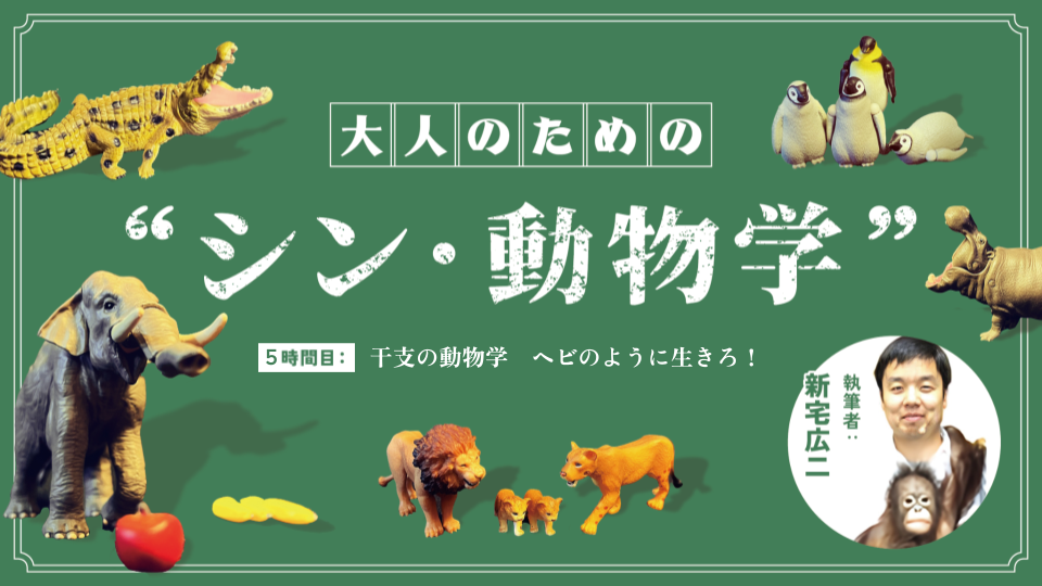 新宅広二｜5時間目：干支の動物学 ヘビのように生きろ！【大人のための