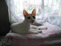 f:id:kbyps:20070307192538j:image f:id:kbyps:20070307192538j:image