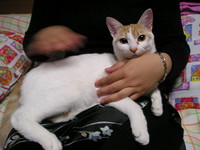 f:id:kbyps:20070307192639j:image f:id:kbyps:20070307192639j:image