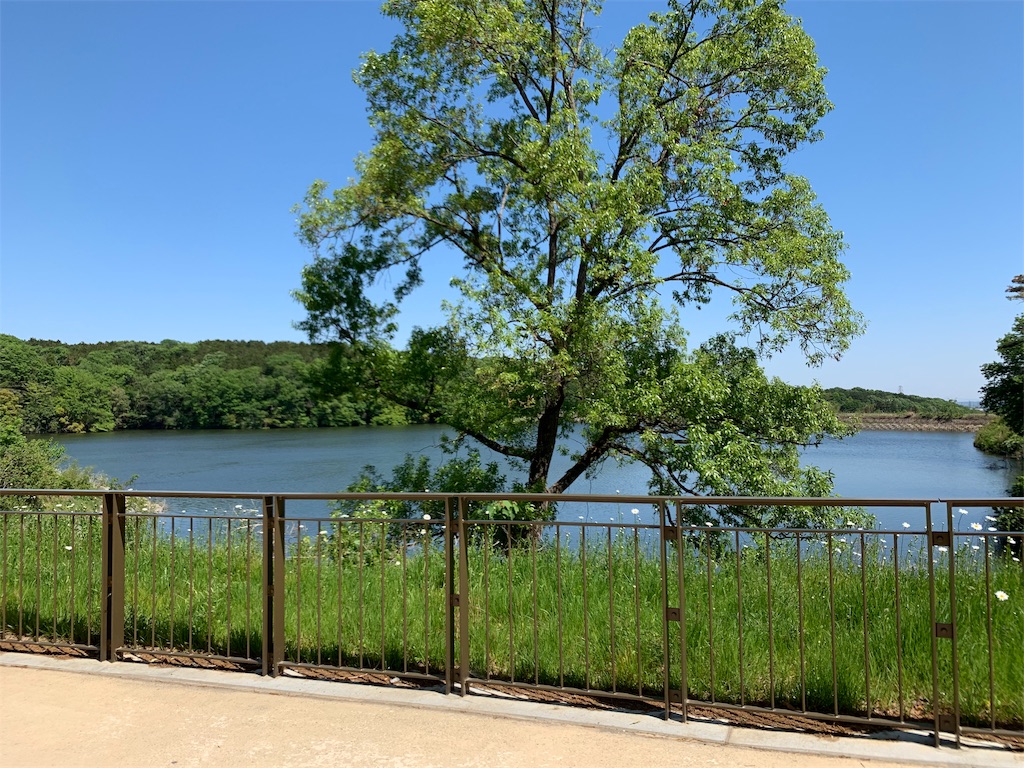 f:id:kcat9:20190509095017j:image f:id:kcat9:20190509095017j:image