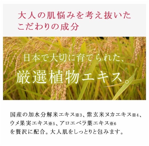 f:id:kdtk:20190407131718j:image