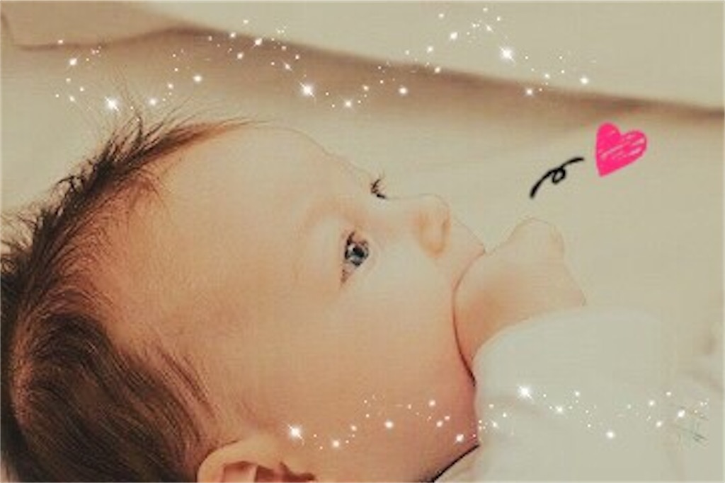 f:id:ke-sera-sera:20201115221056j:image f:id:ke-sera-sera:20201115221056j:image
