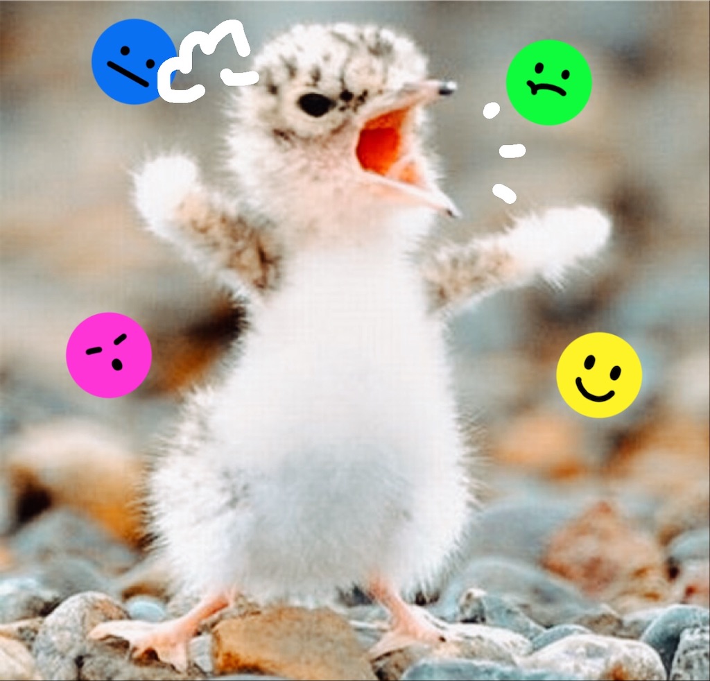 f:id:ke-sera-sera:20201121201853j:image f:id:ke-sera-sera:20201121201853j:image
