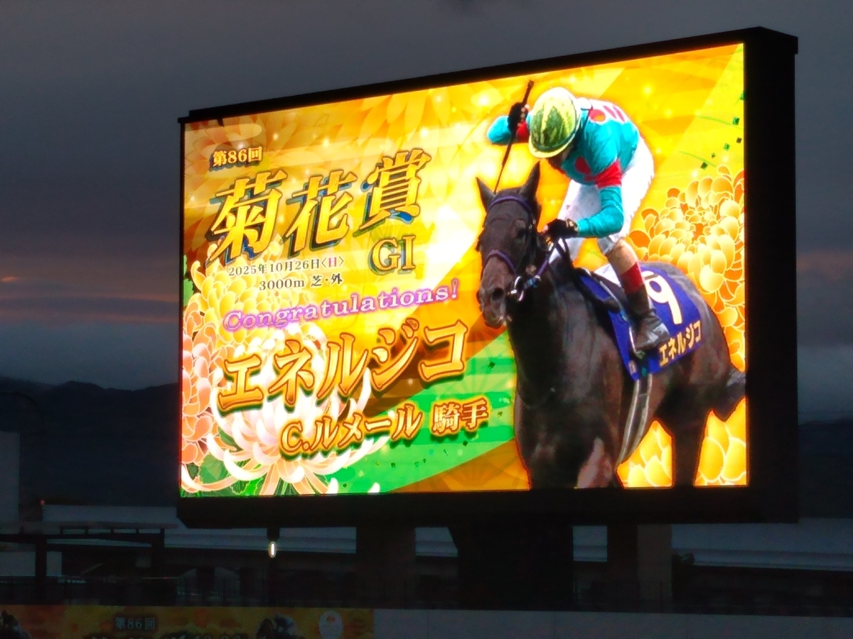 25年10月26日（日）京都競馬場：菊花賞現地観戦記とカツカレー - 競馬