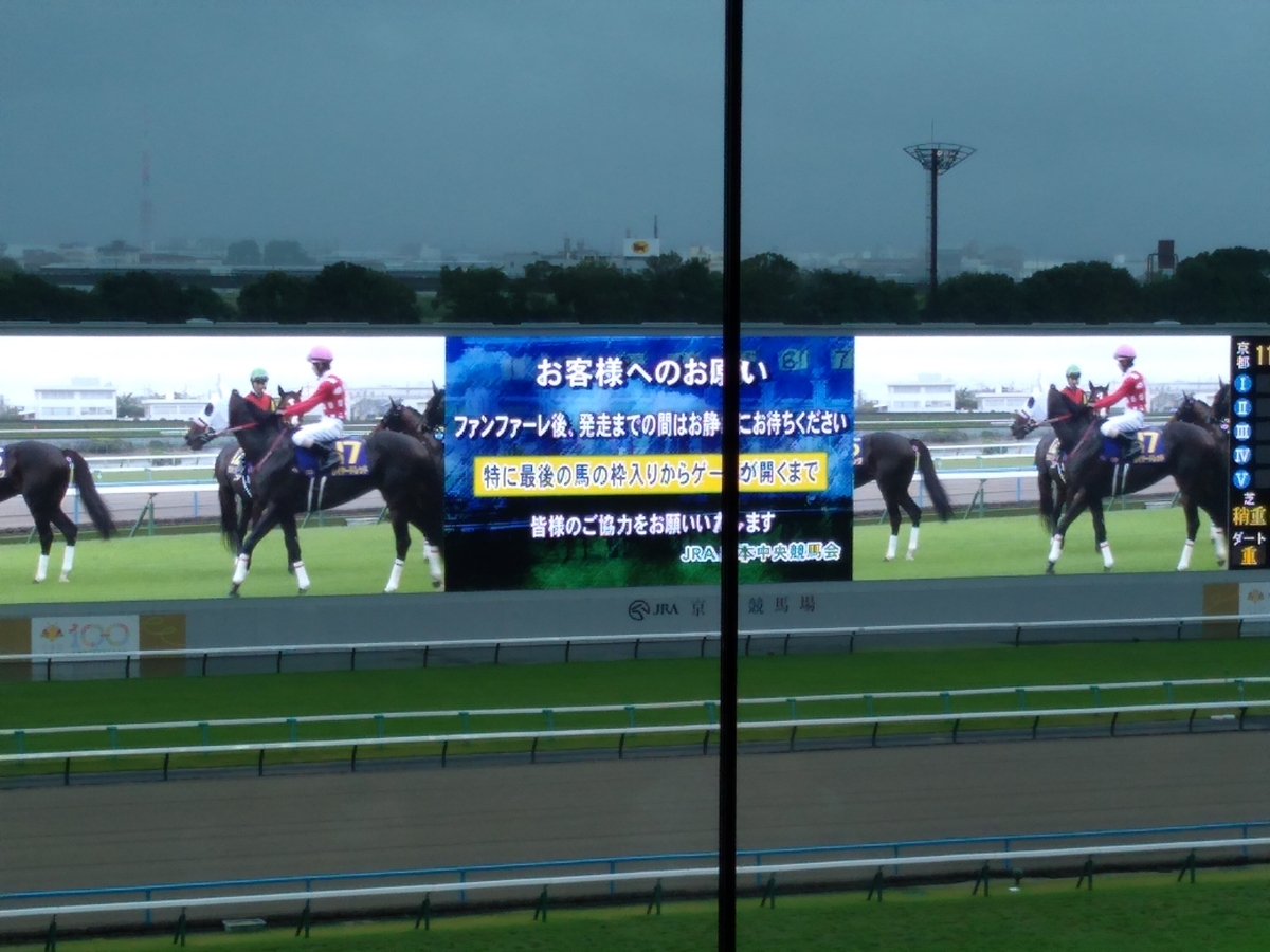 25年10月26日（日）京都競馬場：菊花賞現地観戦記とカツカレー - 競馬