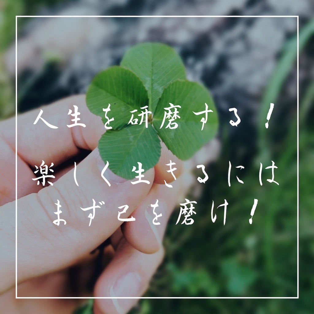 f:id:keNma:20230506223131j:image