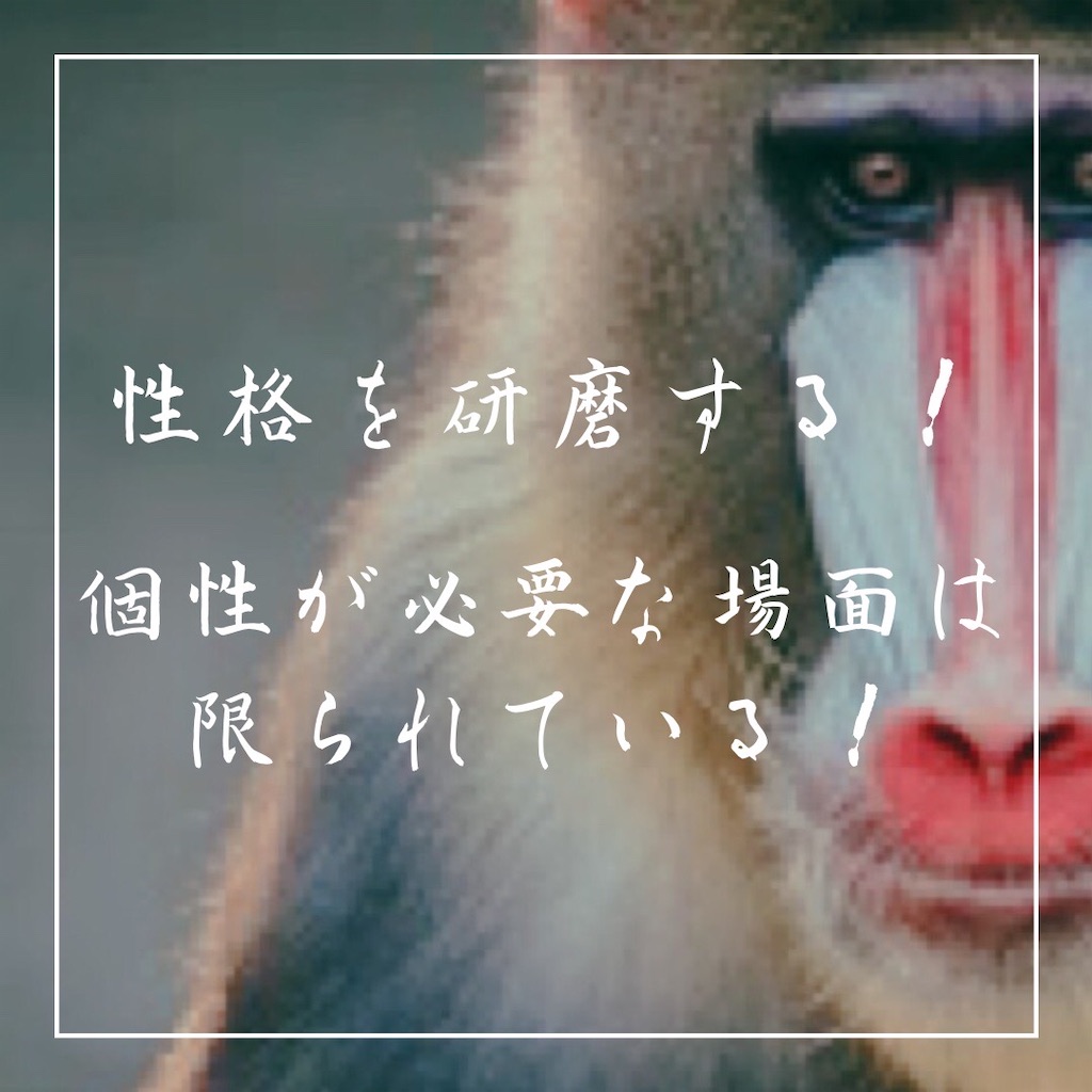 f:id:keNma:20230514214104j:image