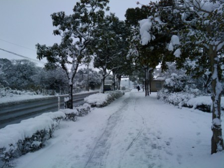 f:id:ke_takahashi:20100113105500j:image f:id:ke_takahashi:20100113105500j:image