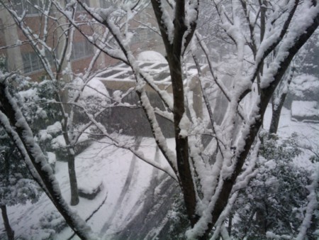 f:id:ke_takahashi:20100113110111j:image f:id:ke_takahashi:20100113110111j:image