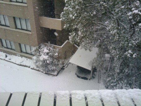 f:id:ke_takahashi:20100113110933j:image f:id:ke_takahashi:20100113110933j:image
