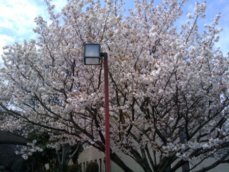 f:id:ke_takahashi:20100405105014j:image