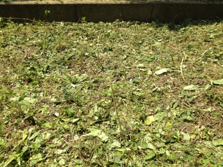 f:id:ke_takahashi:20120818112300j:image f:id:ke_takahashi:20120818112300j:image