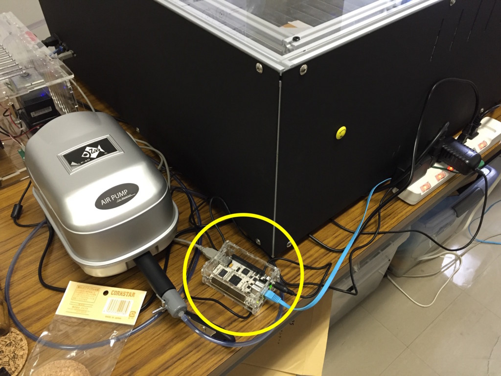 f:id:ke_takahashi:20160804134642j:plain f:id:ke_takahashi:20160804134642j:plain