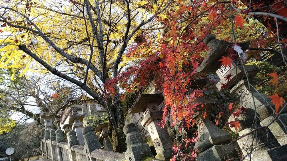 f:id:ke_takahashi:20161203150627j:plain f:id:ke_takahashi:20161203150627j:plain