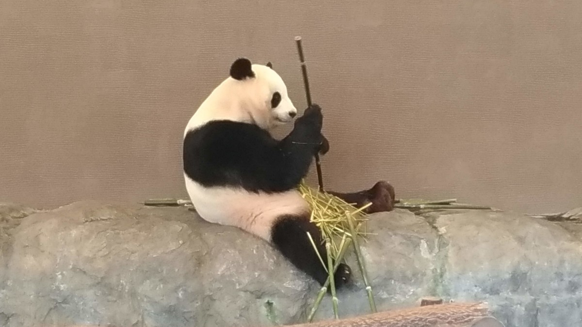 f:id:ke_takahashi:20190729102123j:plain f:id:ke_takahashi:20190729102123j:plain
