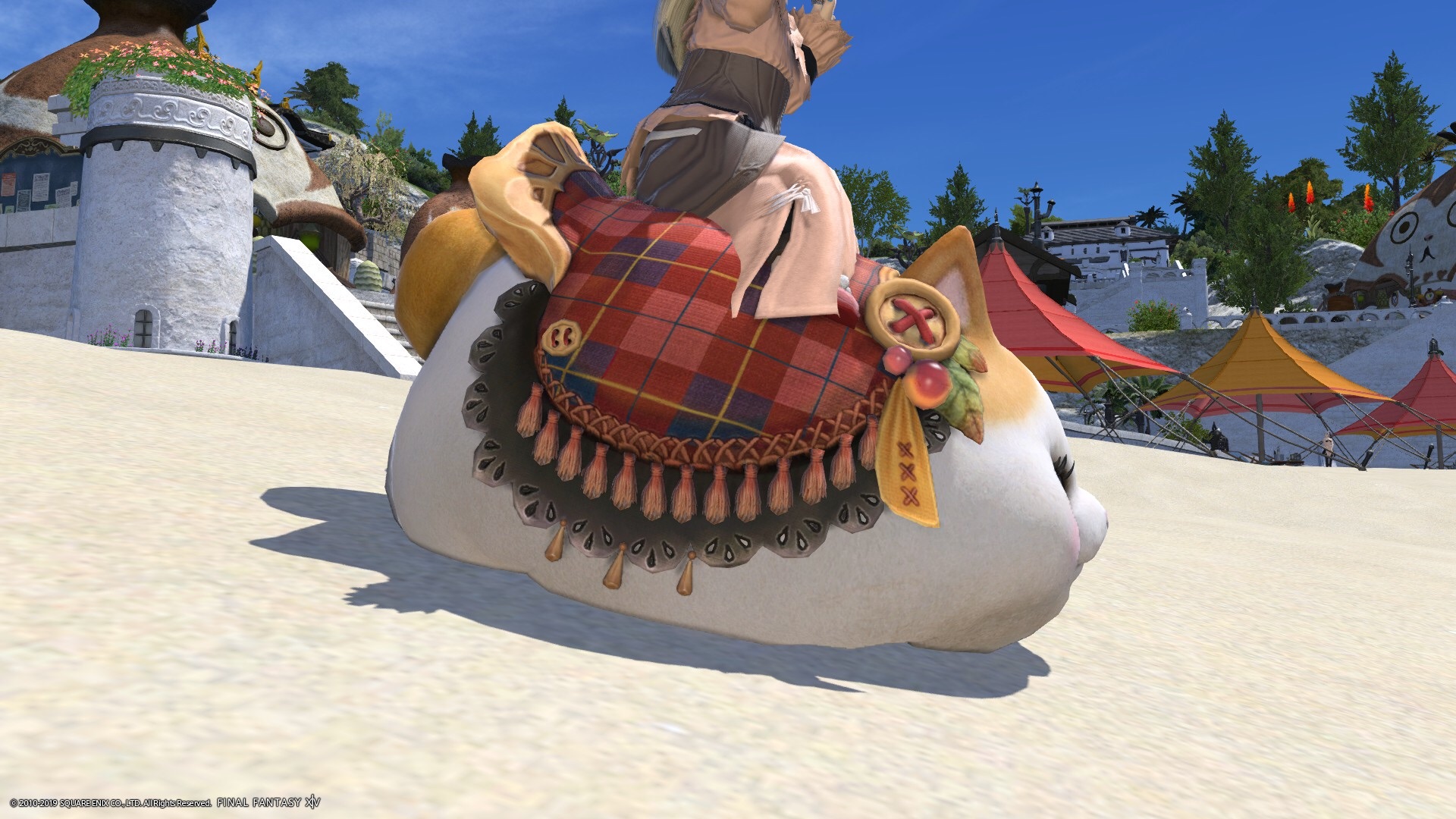 f:id:kearukaeru:20190305194503j:image