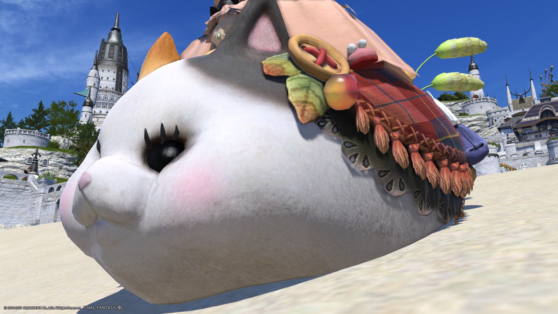 f:id:kearukaeru:20190305194534j:image