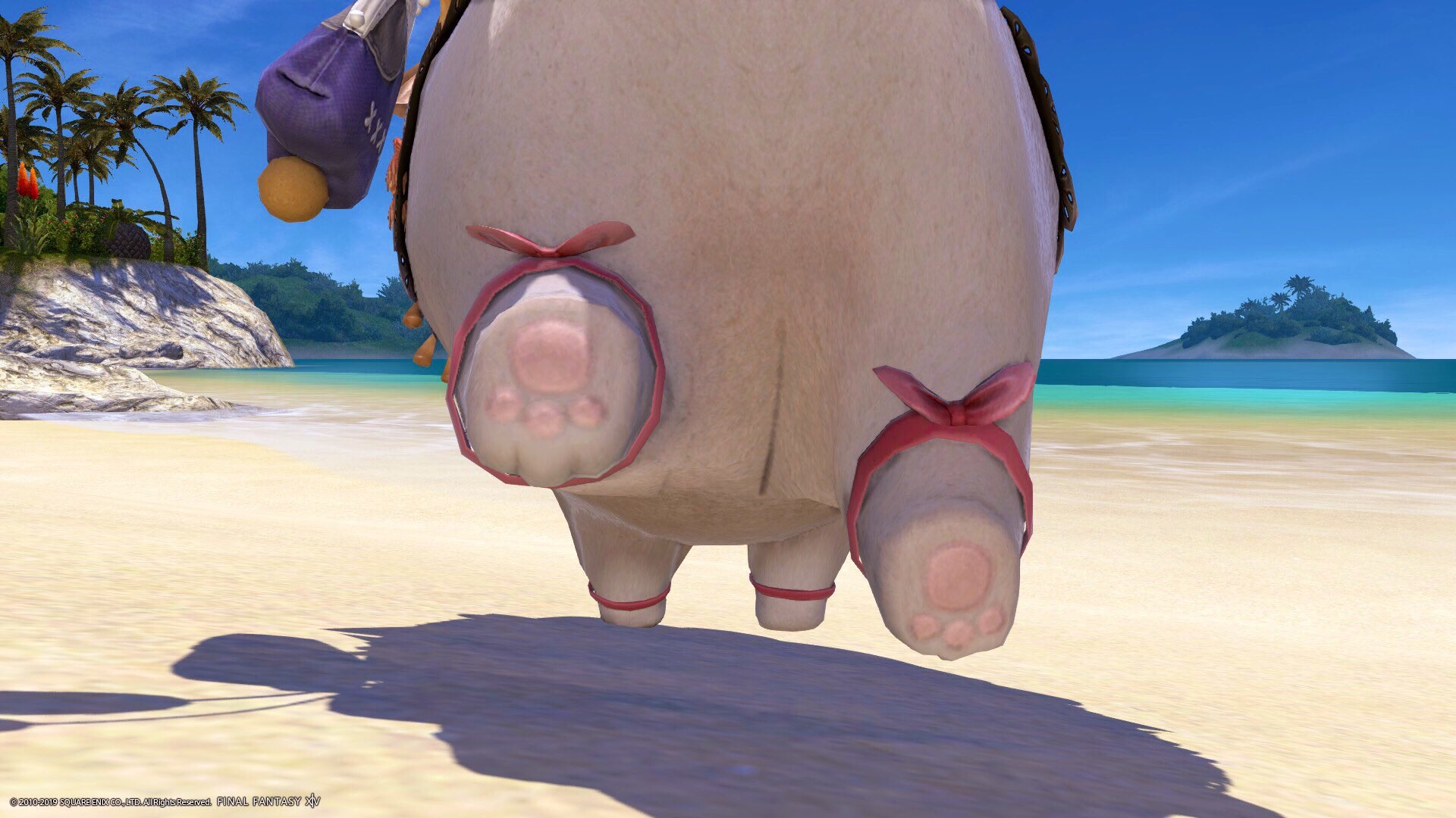 f:id:kearukaeru:20190305194940j:image