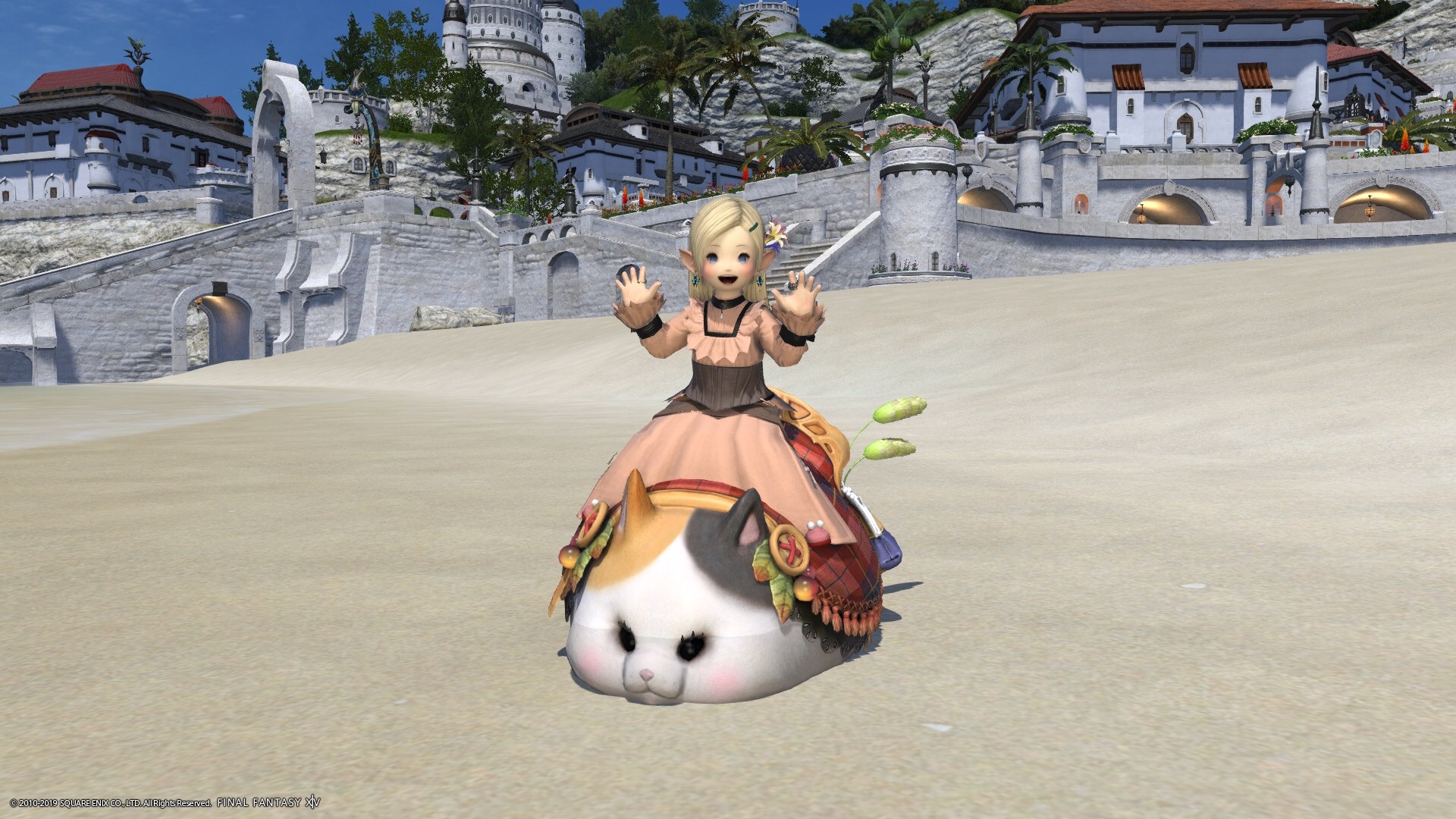 f:id:kearukaeru:20190306015813j:image